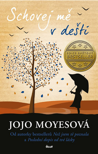 Книга Schovej mě v dešti Jojo Moyes