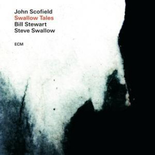 Audio Swallow Tales John Scofield