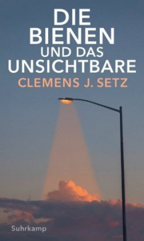 Book Die Bienen und das Unsichtbare 