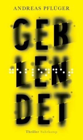 Book Geblendet Andreas Pflüger