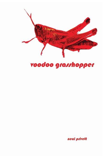 Knjiga Voodoo Grasshopper: Stories Neal Privett