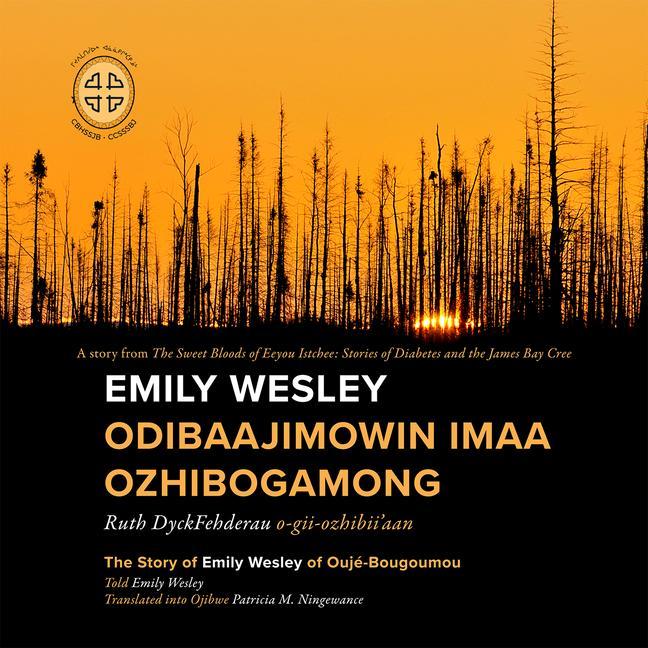 Kniha Emily Wesley Odibaajimowin imaa Ozhibogamong James Bay Storytellers