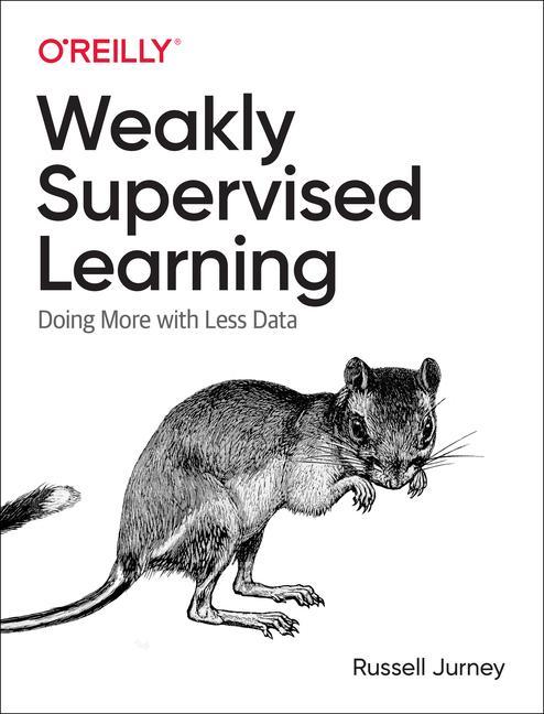 Knjiga Practical Weak Supervision Wee Hyong Tok