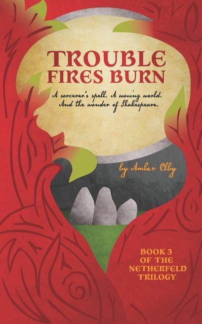 Book Trouble Fires Burn Amber Elby