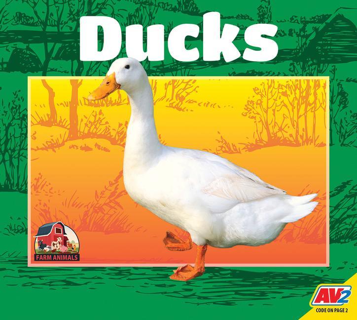 Knjiga Ducks 