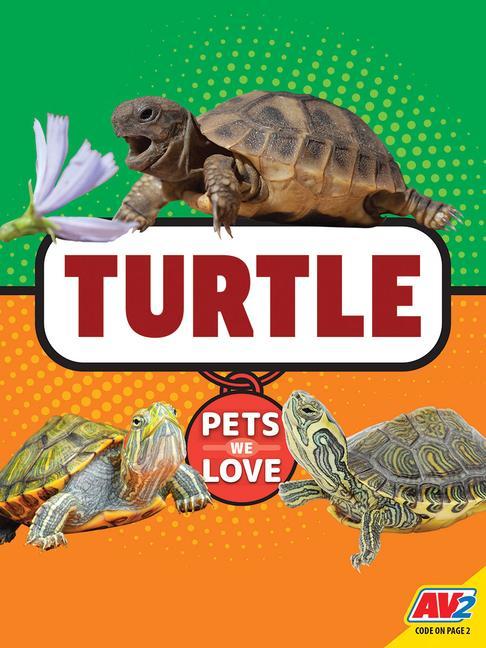 Knjiga Turtle Katie Gillespie
