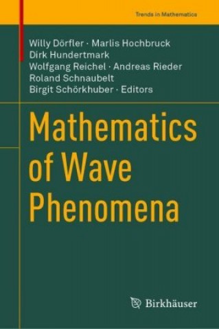 Kniha Mathematics of Wave Phenomena Willy Dörfler