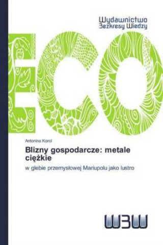 Boek Blizny gospodarcze: metale ciezkie Antonina Korol