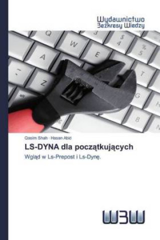 Книга LS-DYNA dla poczatkujacych Qasim Shah