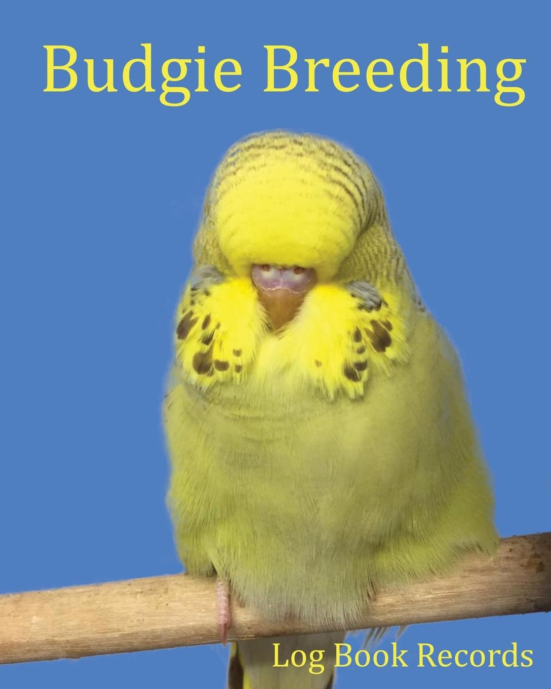 Könyv Budgie Breeding 