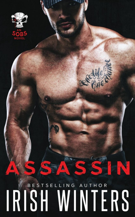 Book Assassin Irish Winters