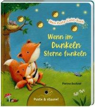 Carte Mein Puste-Licht-Buch: Wenn im Dunkeln Sterne funkeln Marina Rachner
