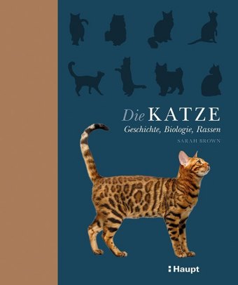 Carte Die Katze Coralie Wink