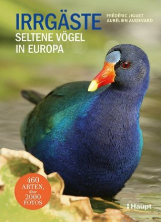 Livro Irrgäste Aurélien Audevard