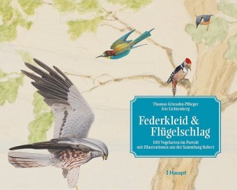 Knjiga Federkleid & Flügelschlag Iris Lichtenberg
