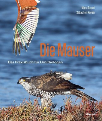 Libro Die Mauser Sébastien Reeber