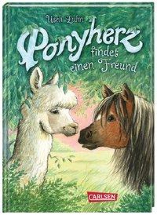 Kniha Ponyherz 16: Ponyherz findet einen Freund Franziska Harvey