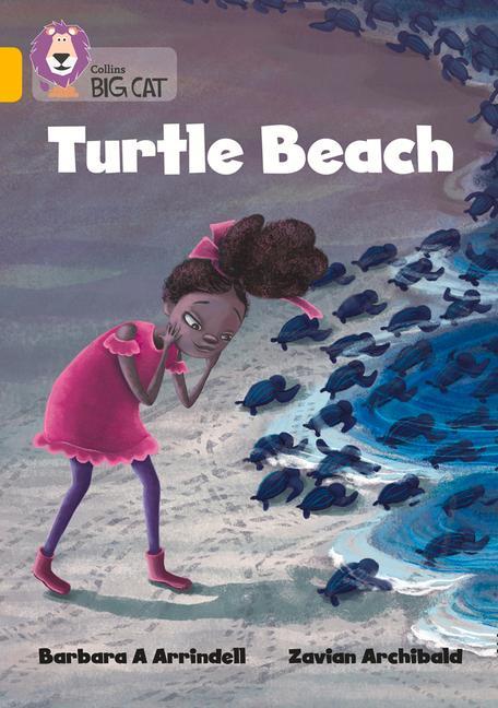 Knjiga Turtle Beach Barbara Arrindell