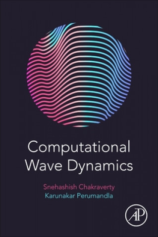 Knjiga Computational Wave Dynamics Snehashish Chakraverty