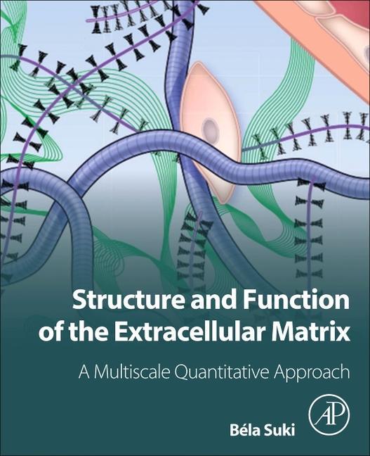 Knjiga Structure and Function of the Extracellular Matrix Bela Suki