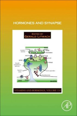 Knjiga Hormones and Synapse Gerald Litwack
