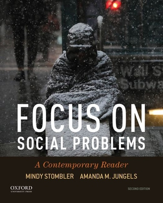 Knjiga Focus on Social Problems Mindy Stombler