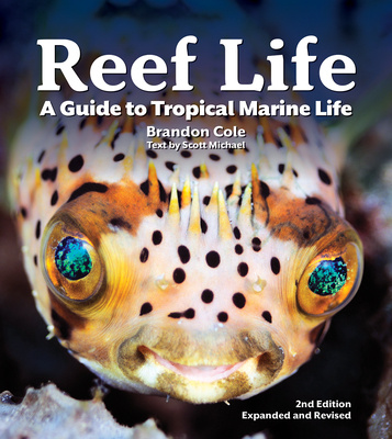 Książka Reef Life Brandon Cole