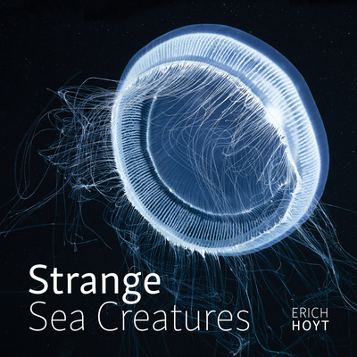 Kniha Strange Sea Creatures Erich Hoyt