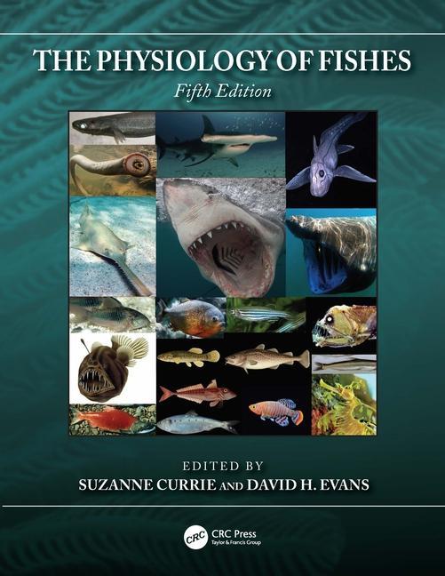 Book Physiology of Fishes Suzanne Currie