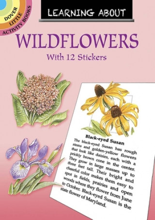 Kniha Learning About Wildflowers Dot Barlowe