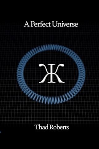 Livre A Perfect Universe Thad Roberts