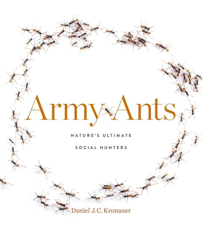 Carte Army Ants Daniel J. C. Kronauer