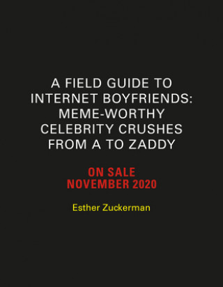 Kniha A Field Guide to Internet Boyfriends Esther Zuckerman
