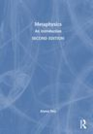 Boek Metaphysics Alyssa Ney