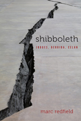 Knjiga Shibboleth Marc Redfield