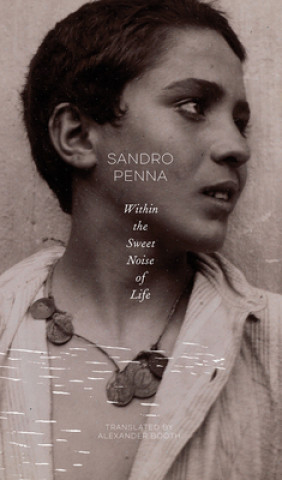 Kniha Within the Sweet Noise of Life Sandro Penna