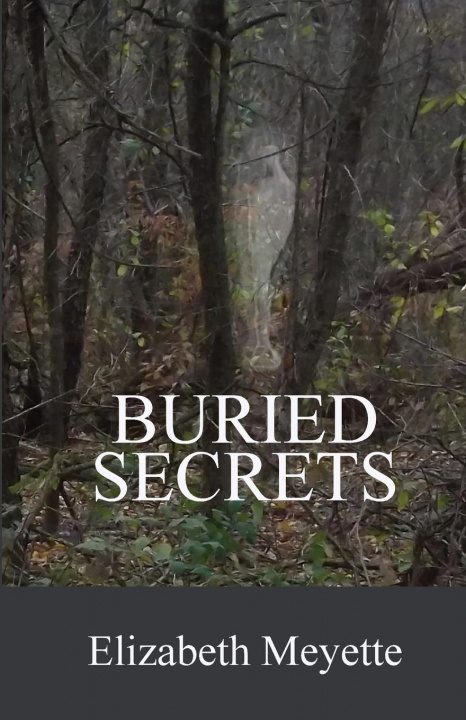 Knjiga Buried Secrets Elizabeth Meyette