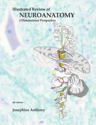 Книга Illustrated Review of Neuroanatomy: 3 Dimensional Perspective Josephine Anthony Ph. D.