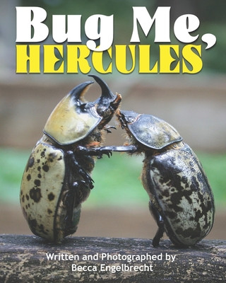 Carte Bug Me, Hercules Becca Engelbrecht