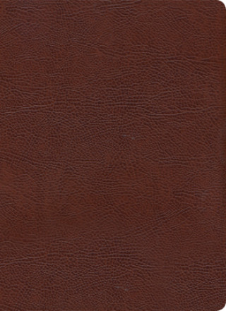 Book KJV Study Bible, Full-Color, Brown Bonded Leather: Red Letter, Study Notes, Articles, Illustrations, Ribbon Marker, Easy to Read Bible Font Holman Bible Publishers