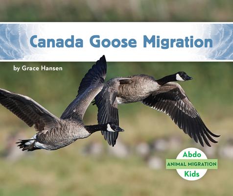 Buch Canada Goose Migration Grace Hansen