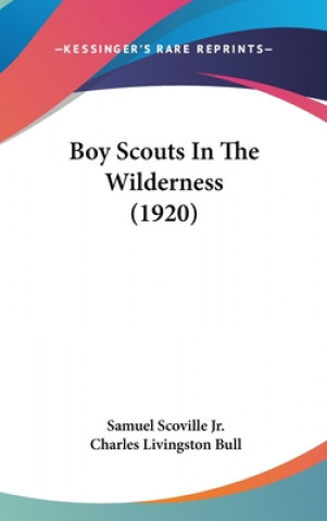 Kniha Boy Scouts in the Wilderness (1920) Scoville  Samuel  Jr.