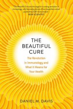 Könyv Beautiful Cure 