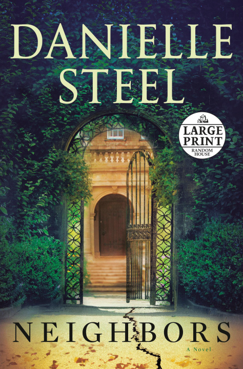 Boek Neighbors Steel