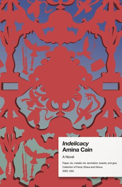 Libro Indelicacy 