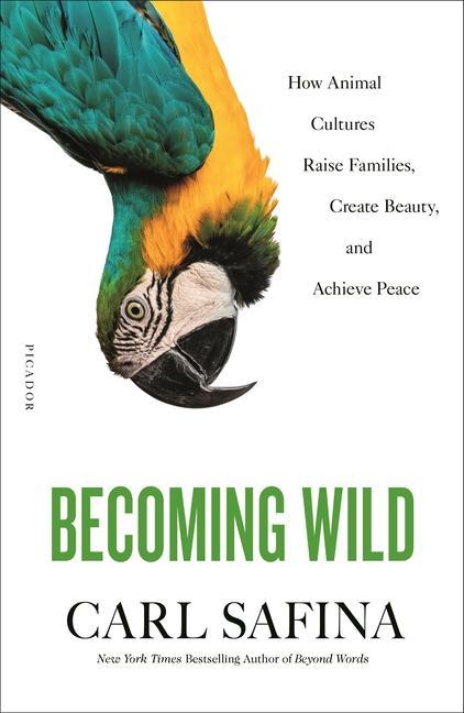 Könyv Becoming Wild: How Animal Cultures Raise Families, Create Beauty, and Achieve Peace 