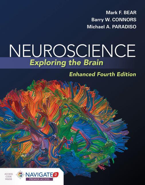 Könyv Neuroscience: Exploring The Brain, Enhanced Edition Barry Connors