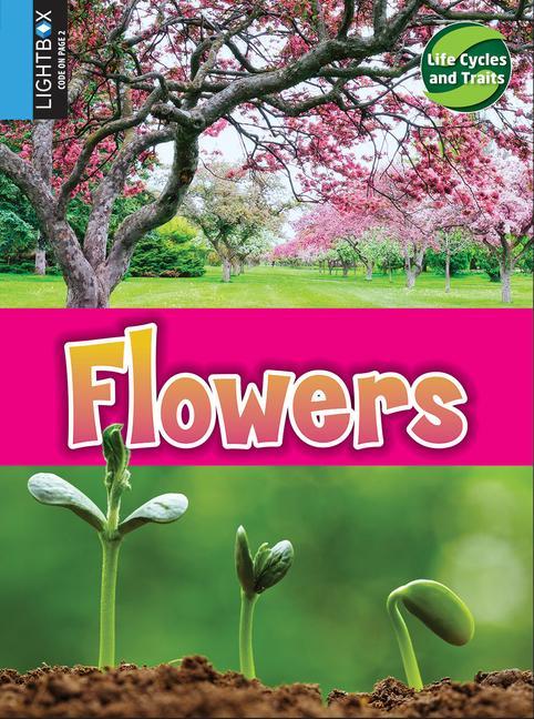 Libro Flowers John Willis