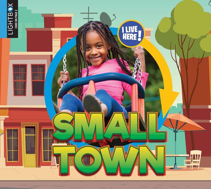 Knjiga Small Town Pamela McDowell