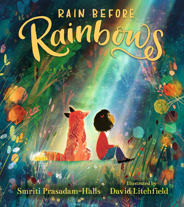 Kniha Rain Before Rainbows David Litchfield